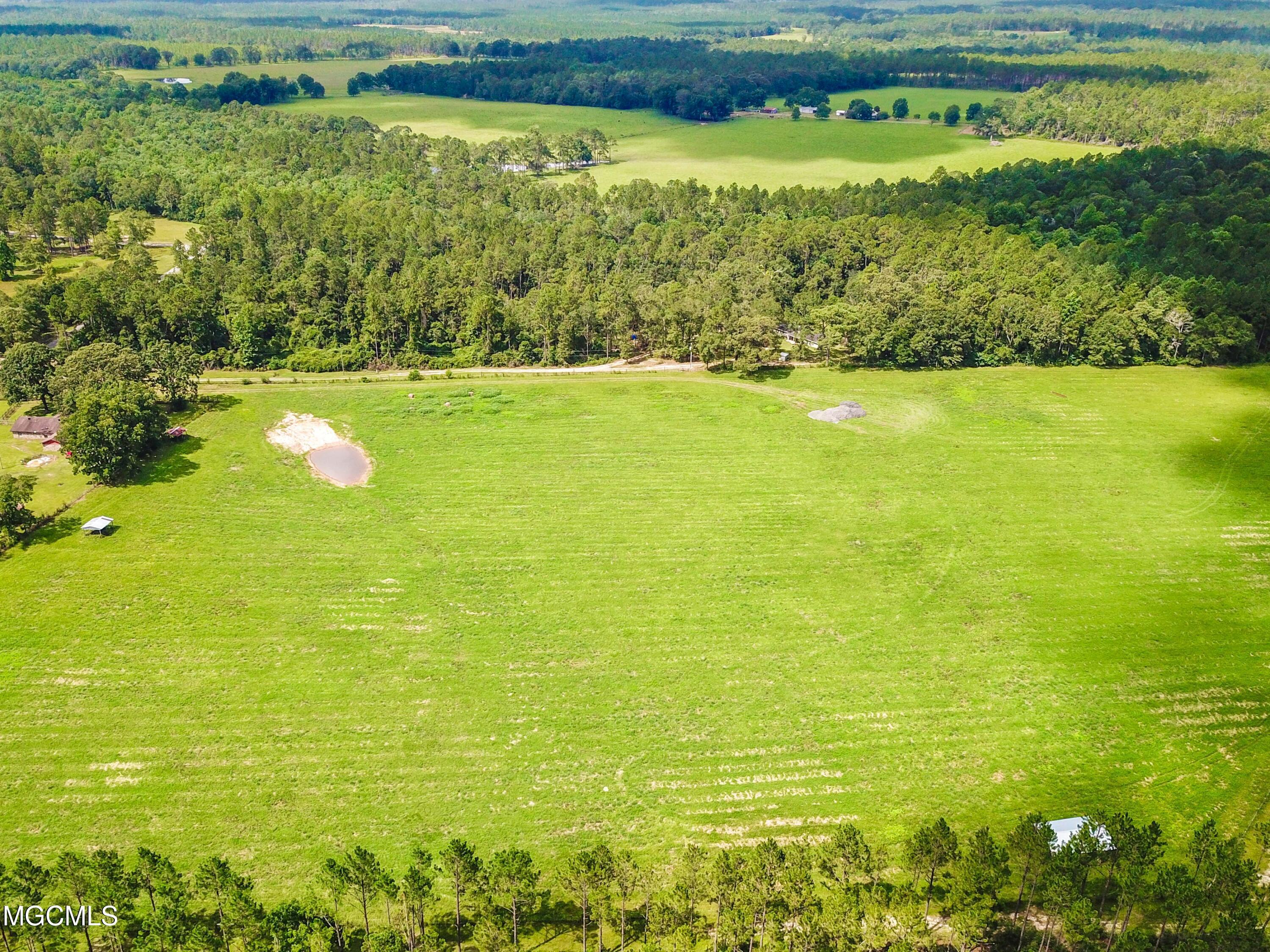 35-acres King Bee Road Perkinston, MS 39573 - Photo 16 of 22 014 (4)