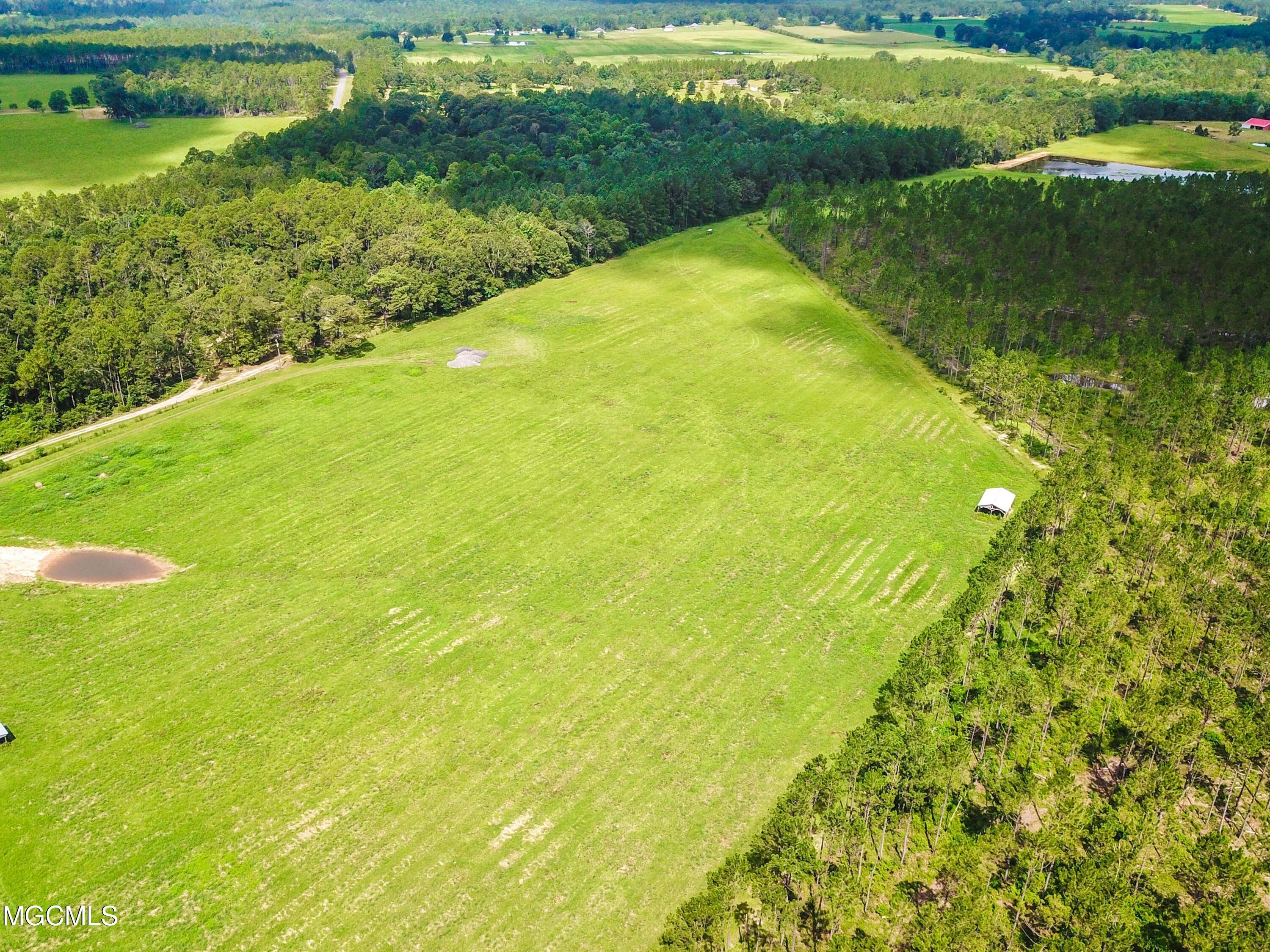 35-acres King Bee Road Perkinston, MS 39573 - Photo 17 of 22 015 (4)