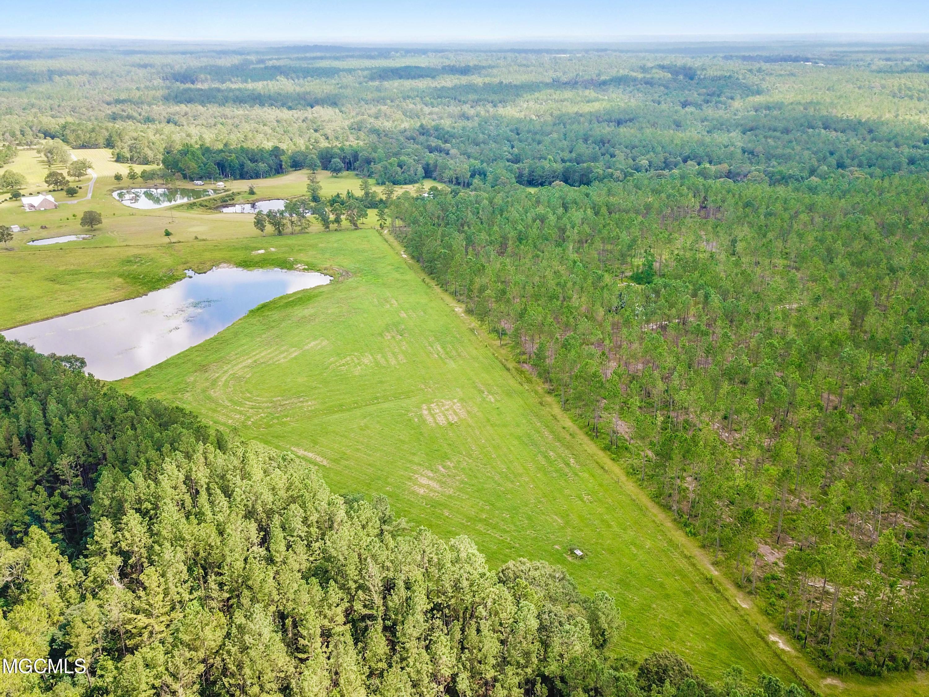 35-acres King Bee Road Perkinston, MS 39573 - Photo 8 of 22 006 (9)