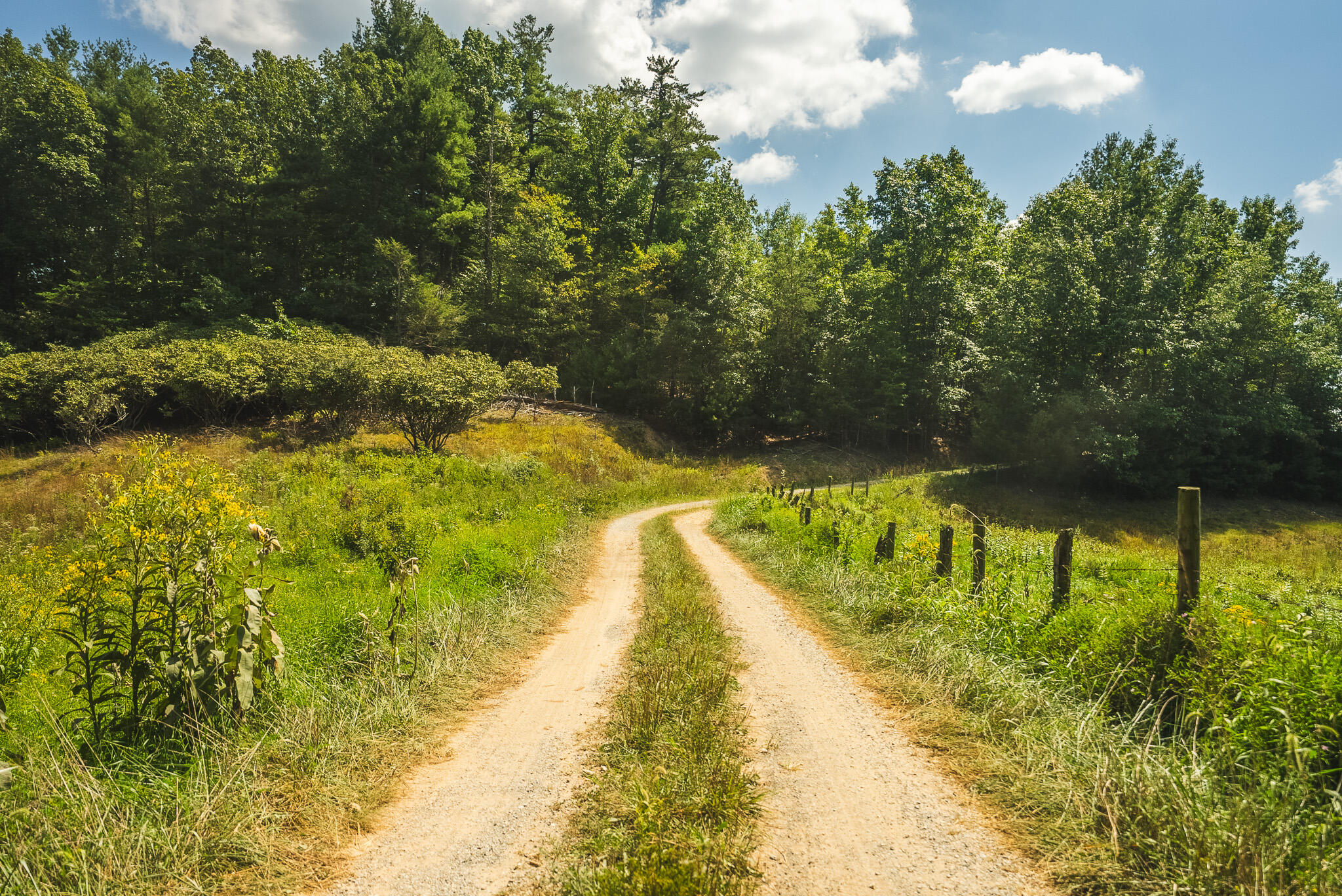 5902 Chestnut Ridge Road Riner, VA 24149 - Photo 50 of 50 DSC03668