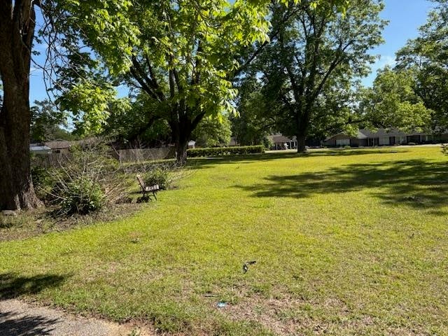 705 Old Elba Road Opp, AL 36467 - Photo 50 of 50 Gallery Image 50