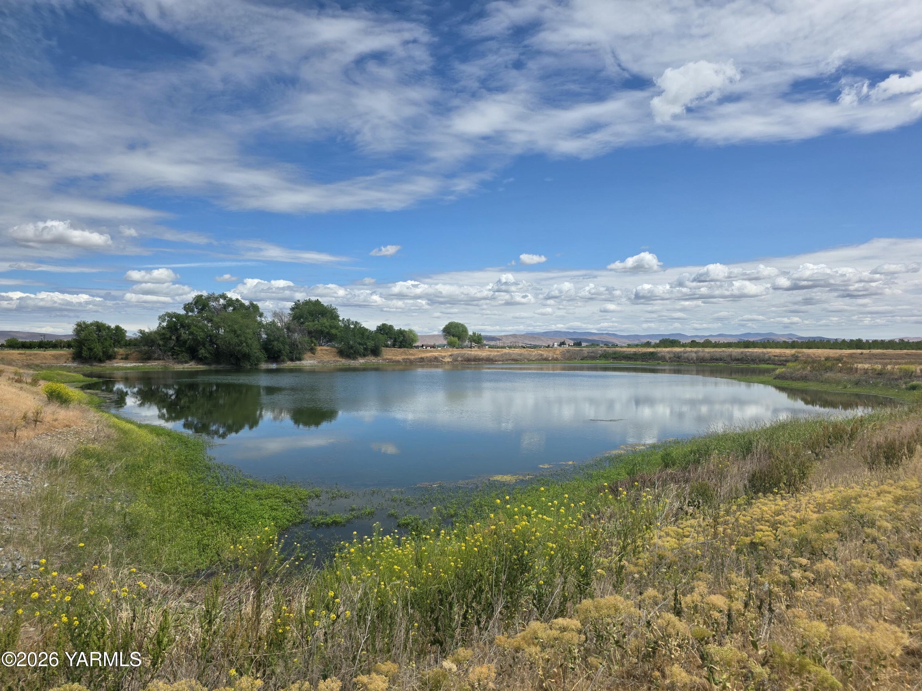 5451 Branch Road Wapato, WA 98951 - Photo 6 of 9 a view of a lake from a yard