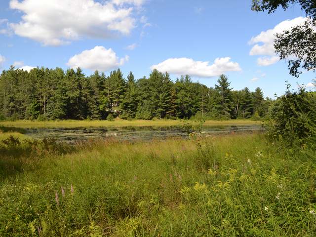 6846 Bear Paw Road Rhinelander, WI 54501 - Photo 18 of 20 Gallery Image 18
