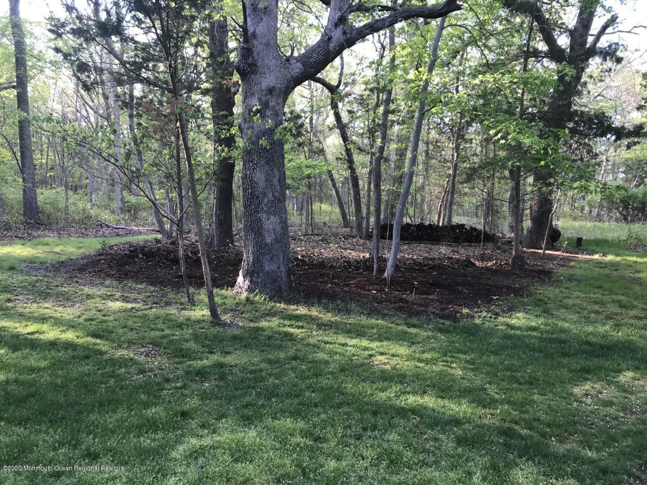 564 Aldrich Road Howell, NJ 07731 - Photo 38 of 39 564 Aldrich - backyard in summer -1