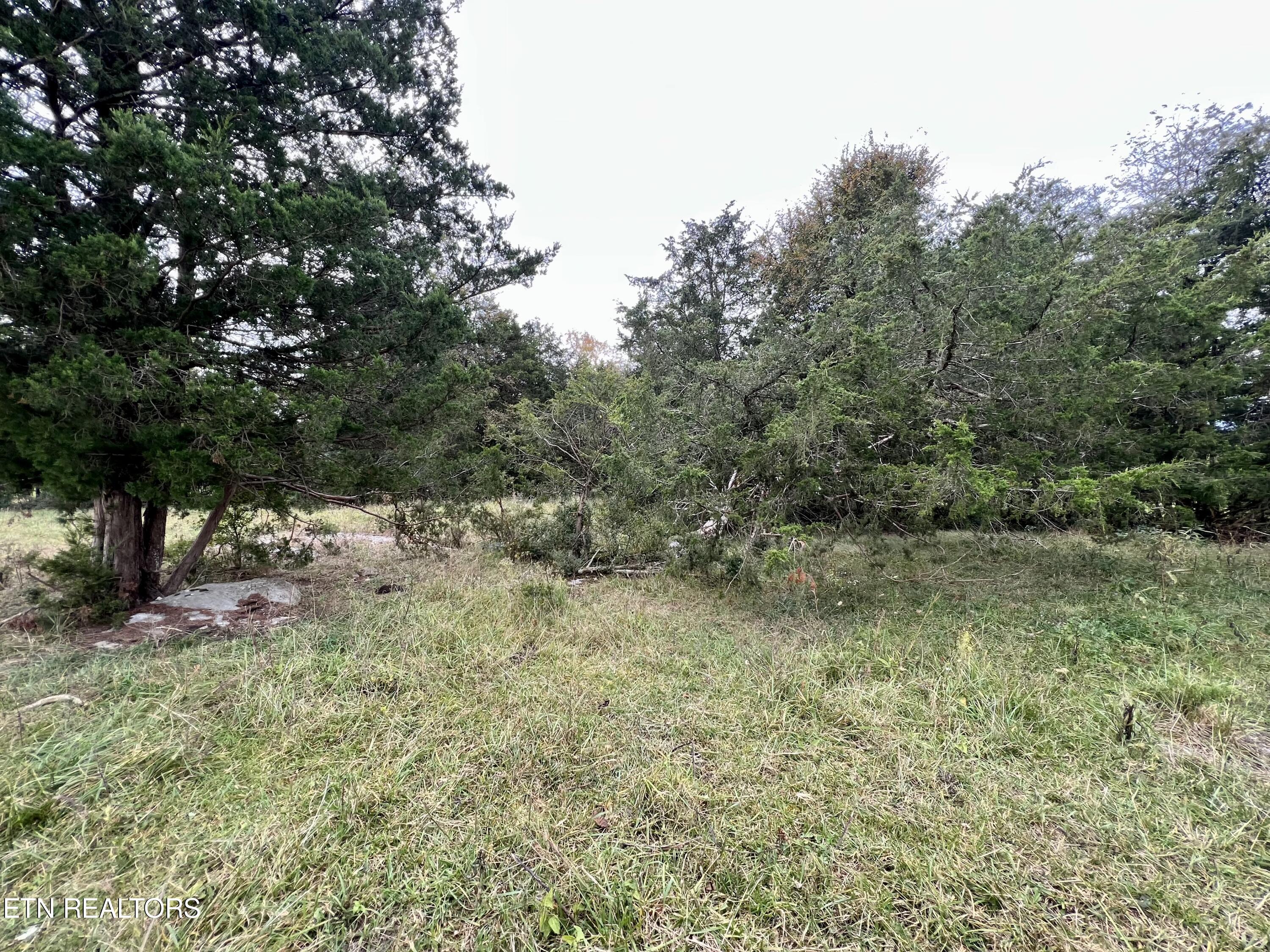 63 Highway Speedwell Tn 37870 Speedwell, TN 37870 - Photo 11 of 21 IMG_3645