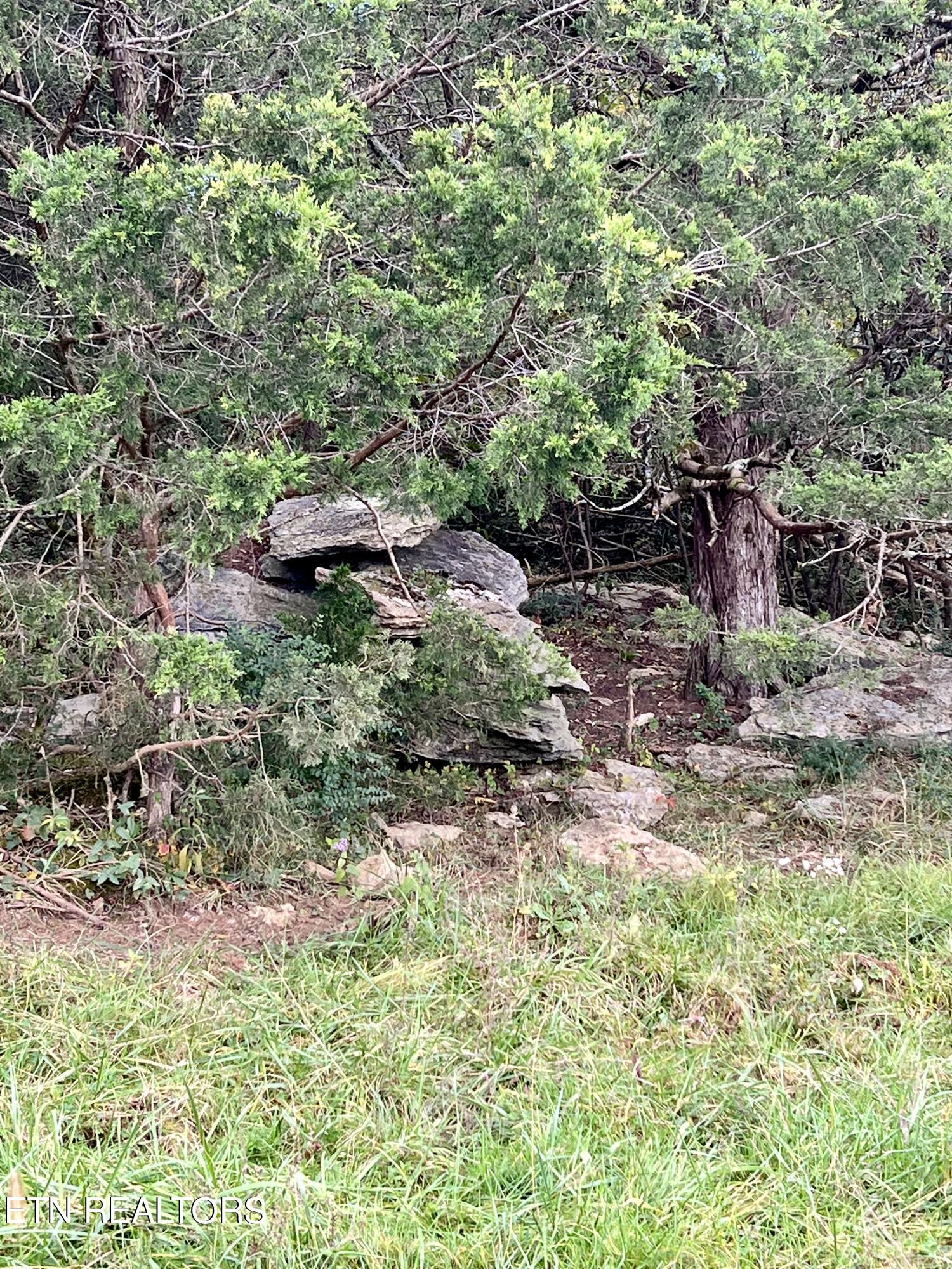 63 Highway Speedwell Tn 37870 Speedwell, TN 37870 - Photo 12 of 21 IMG_3644