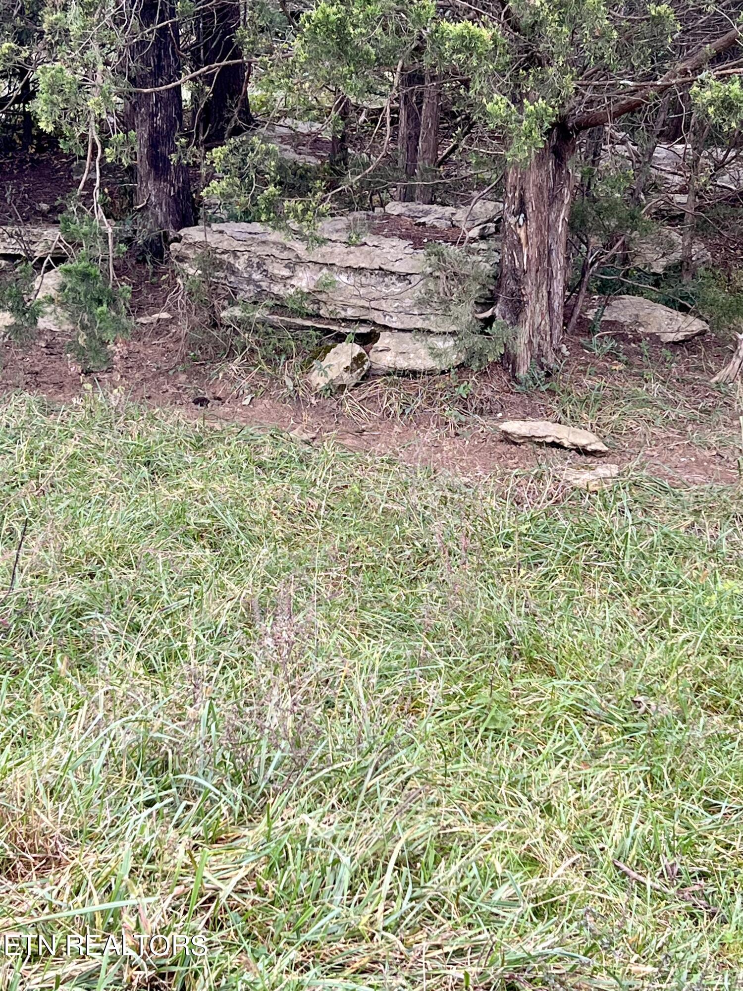 63 Highway Speedwell Tn 37870 Speedwell, TN 37870 - Photo 13 of 21 IMG_3643