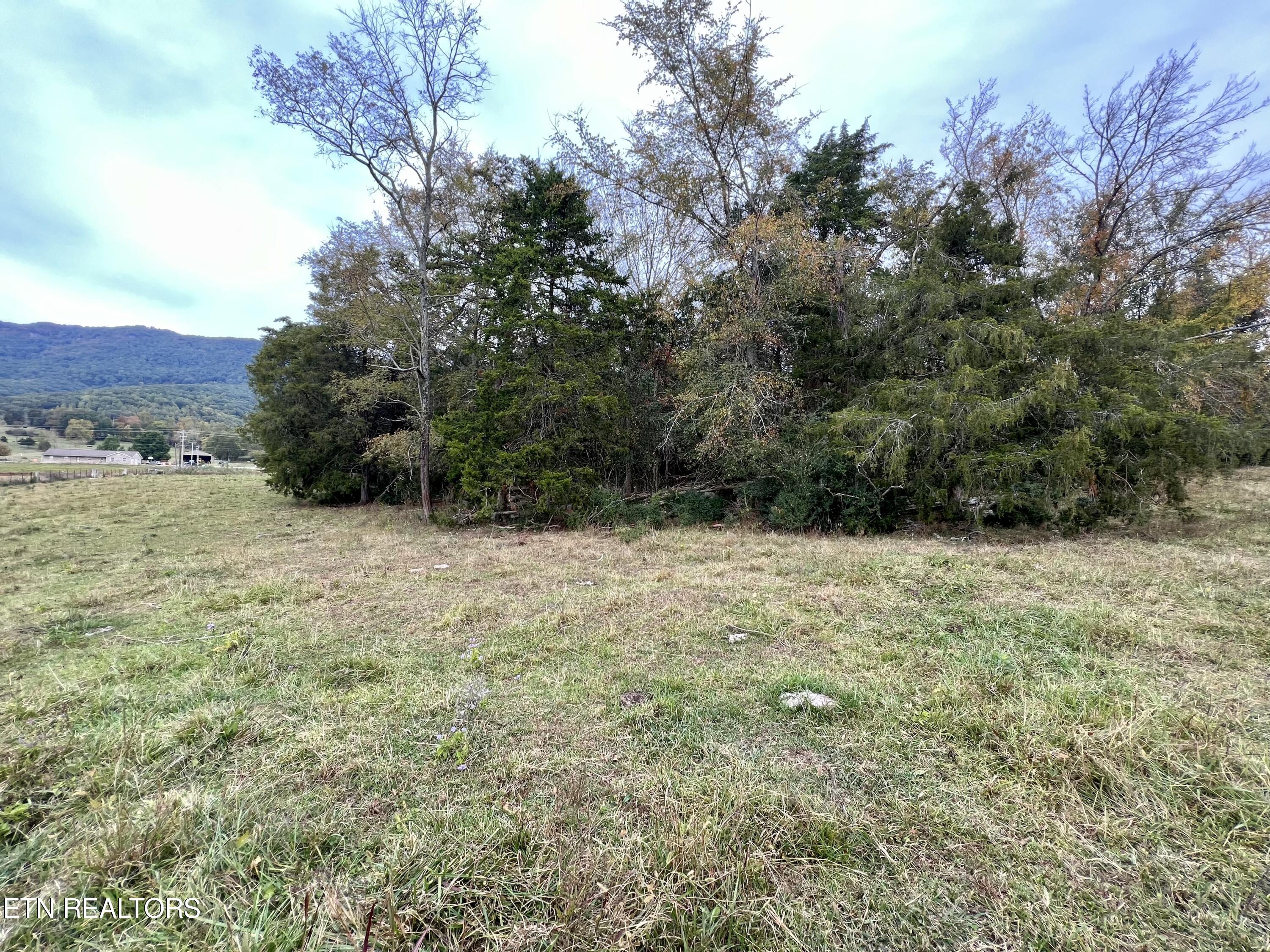 63 Highway Speedwell Tn 37870 Speedwell, TN 37870 - Photo 14 of 21 IMG_3641