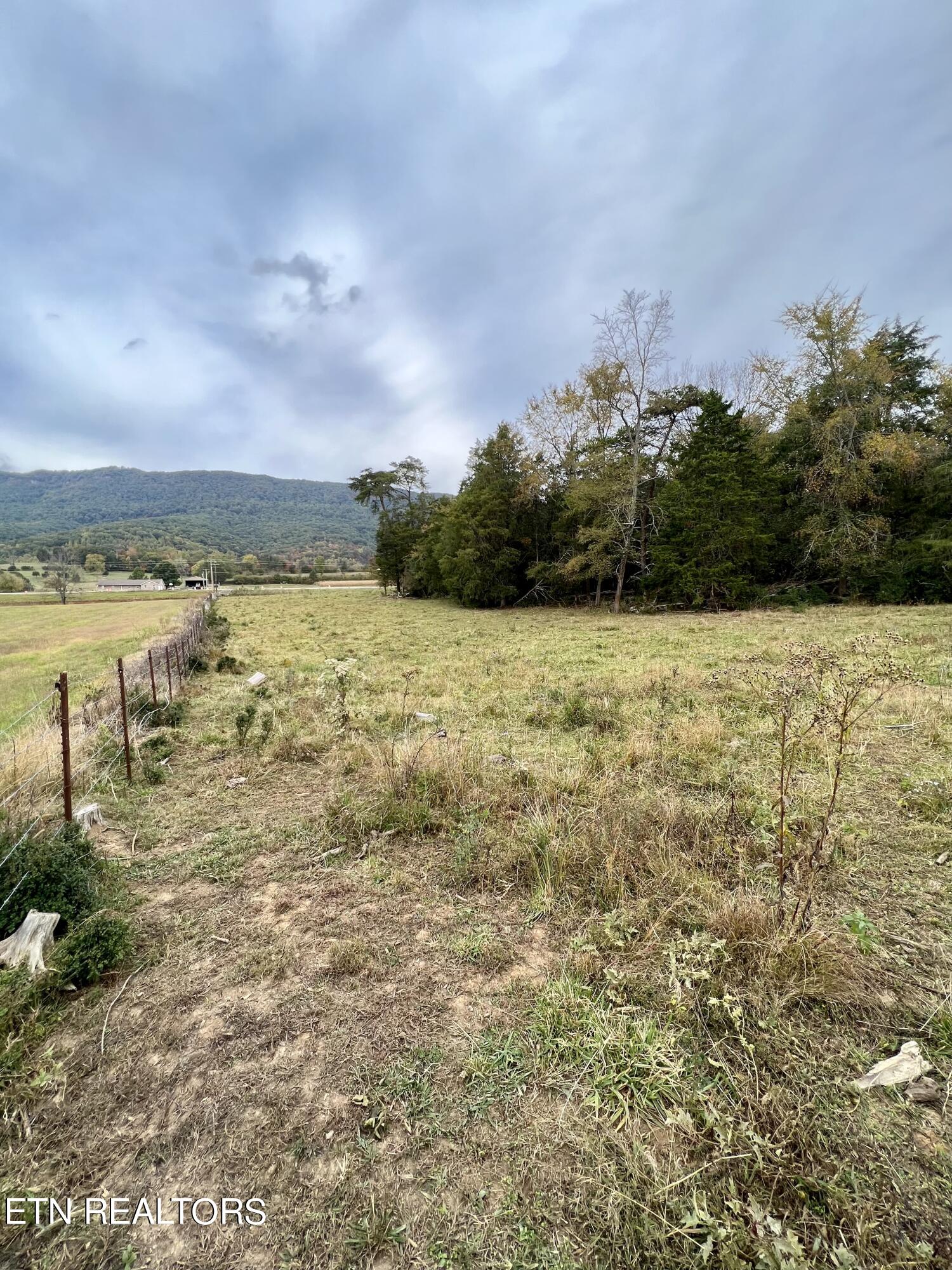 63 Highway Speedwell Tn 37870 Speedwell, TN 37870 - Photo 16 of 21 IMG_3638