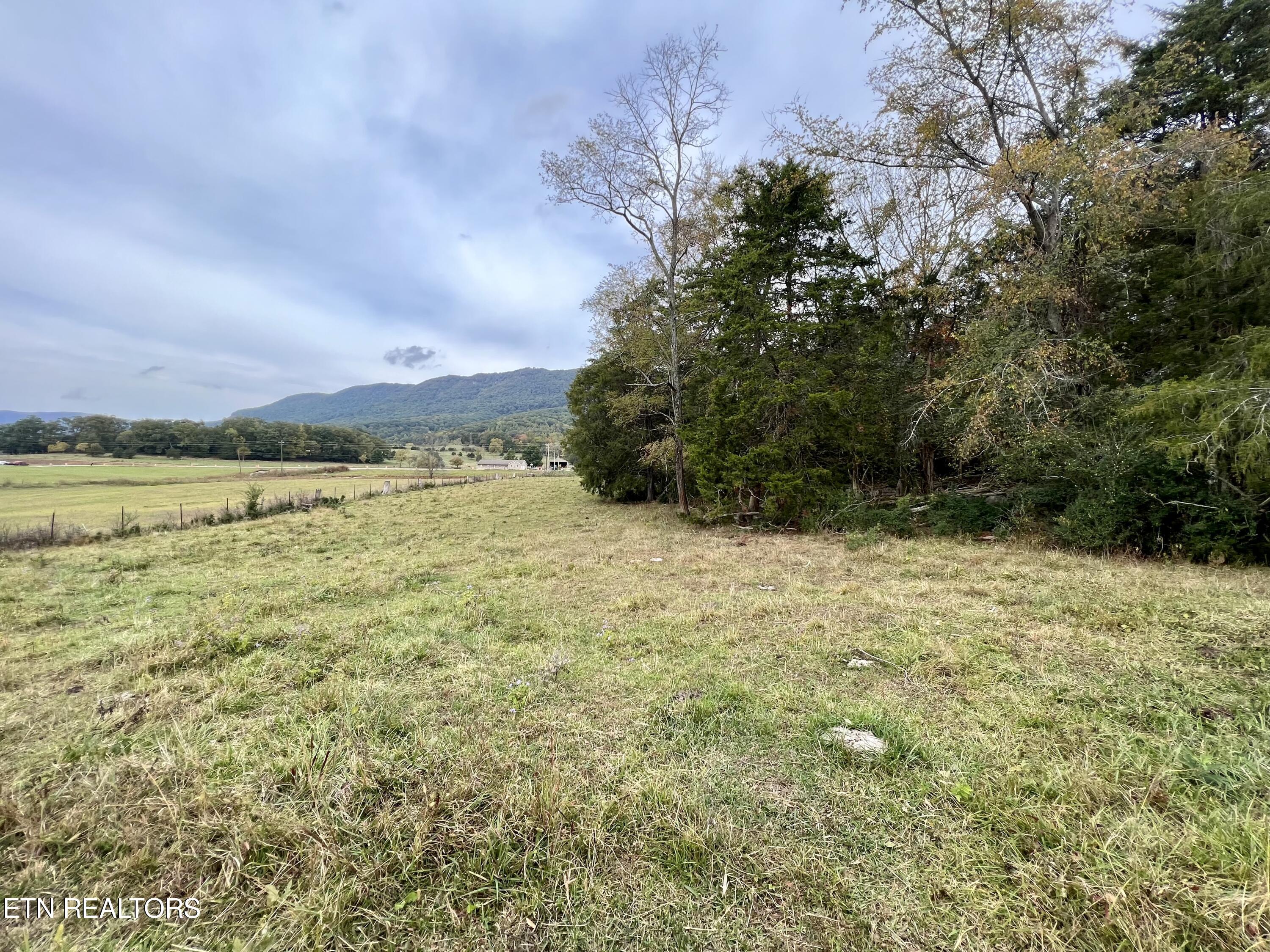 63 Highway Speedwell Tn 37870 Speedwell, TN 37870 - Photo 18 of 21 IMG_3635