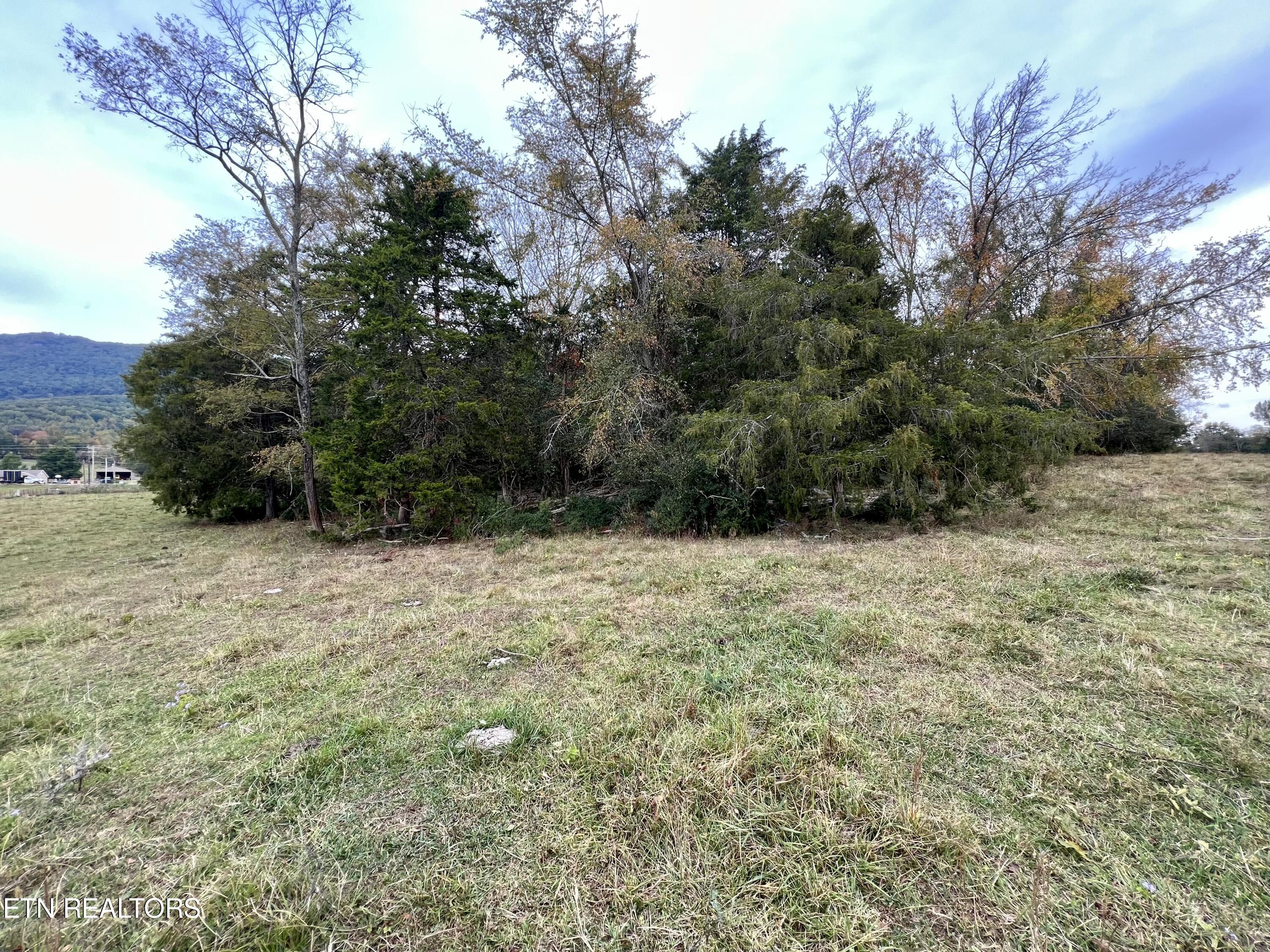 63 Highway Speedwell Tn 37870 Speedwell, TN 37870 - Photo 19 of 21 IMG_3634