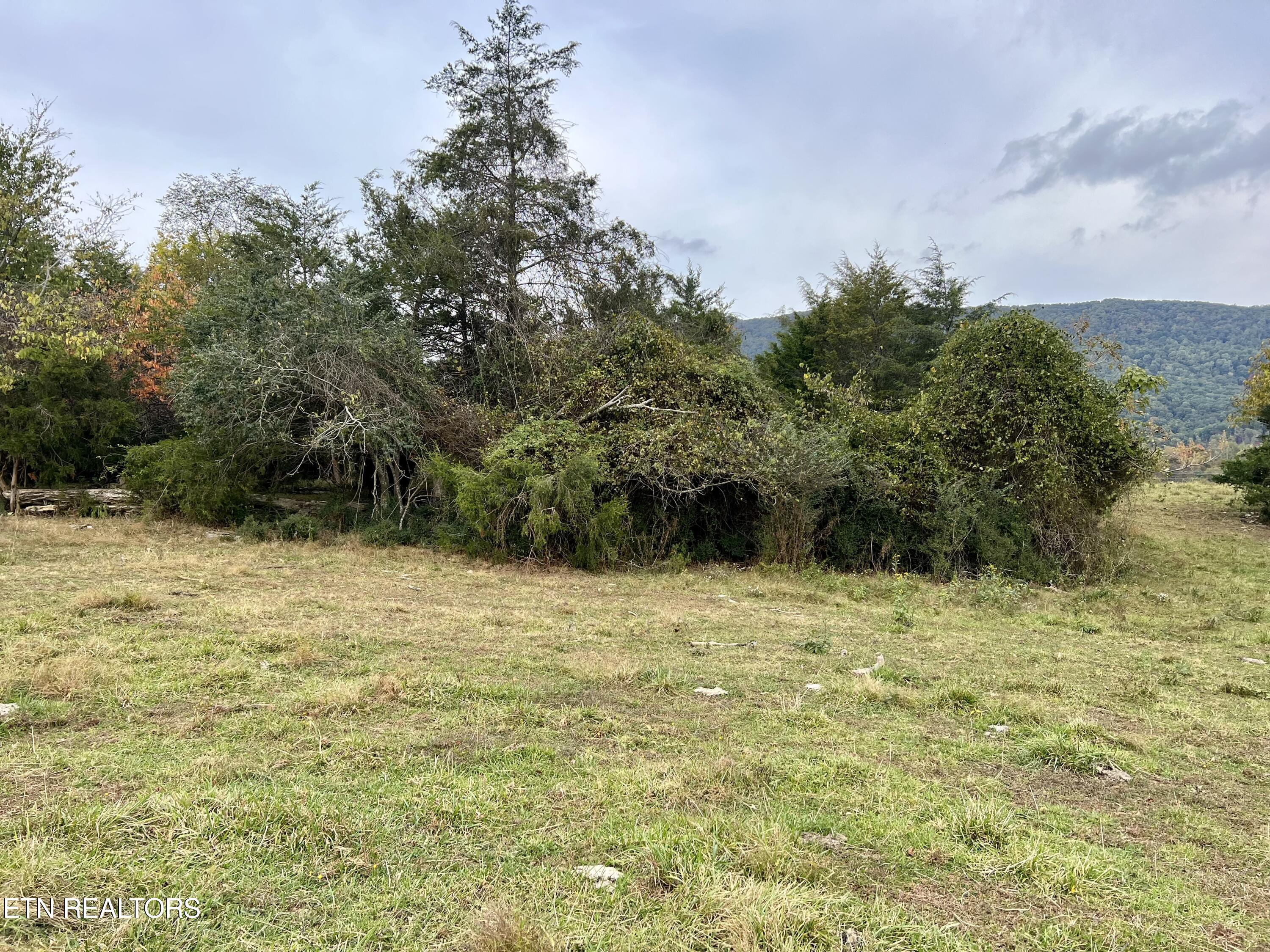 63 Highway Speedwell Tn 37870 Speedwell, TN 37870 - Photo 21 of 21 IMG_3631