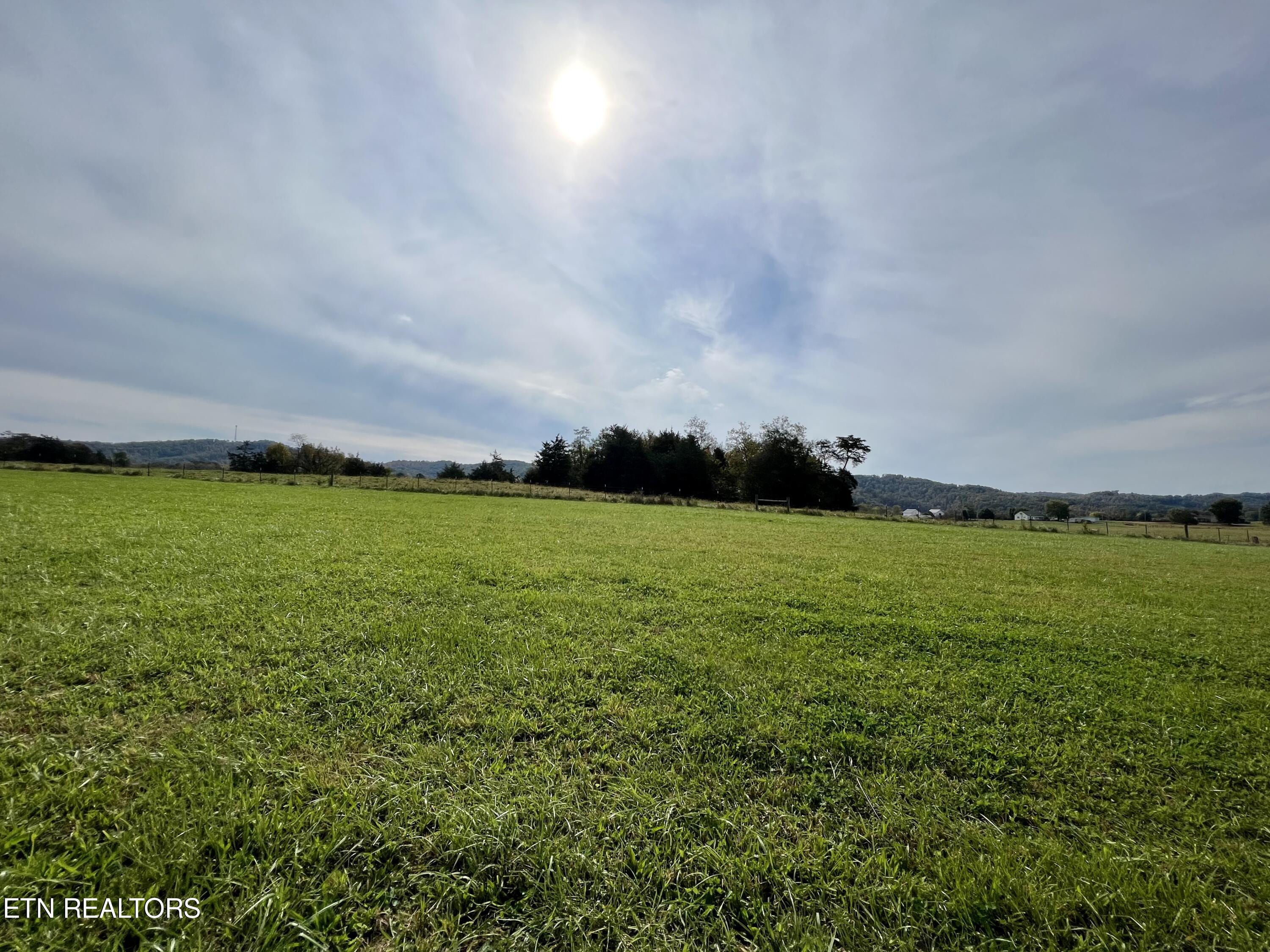 63 Highway Speedwell Tn 37870 Speedwell, TN 37870 - Photo 4 of 21 IMG_3661