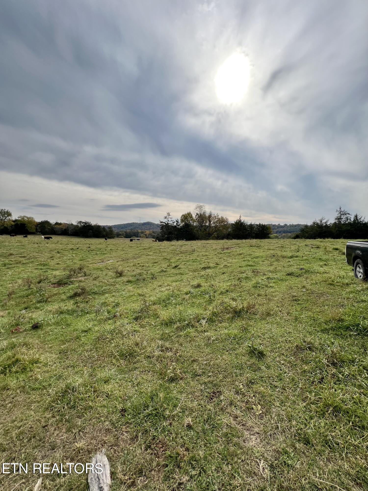 63 Highway Speedwell Tn 37870 Speedwell, TN 37870 - Photo 8 of 21 IMG_3654