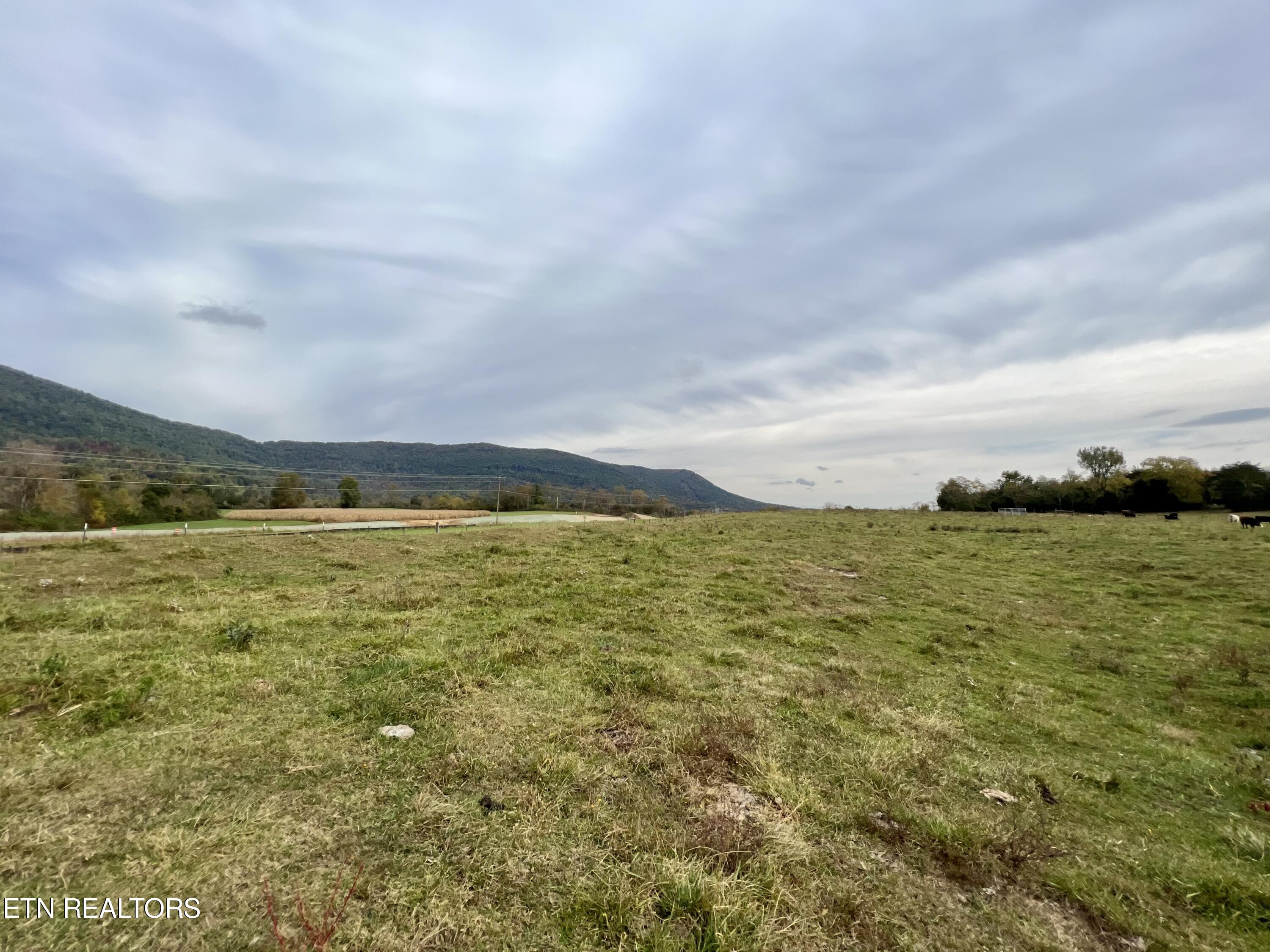 63 Highway Speedwell Tn 37870 Speedwell, TN 37870 - Photo 9 of 21 IMG_3653