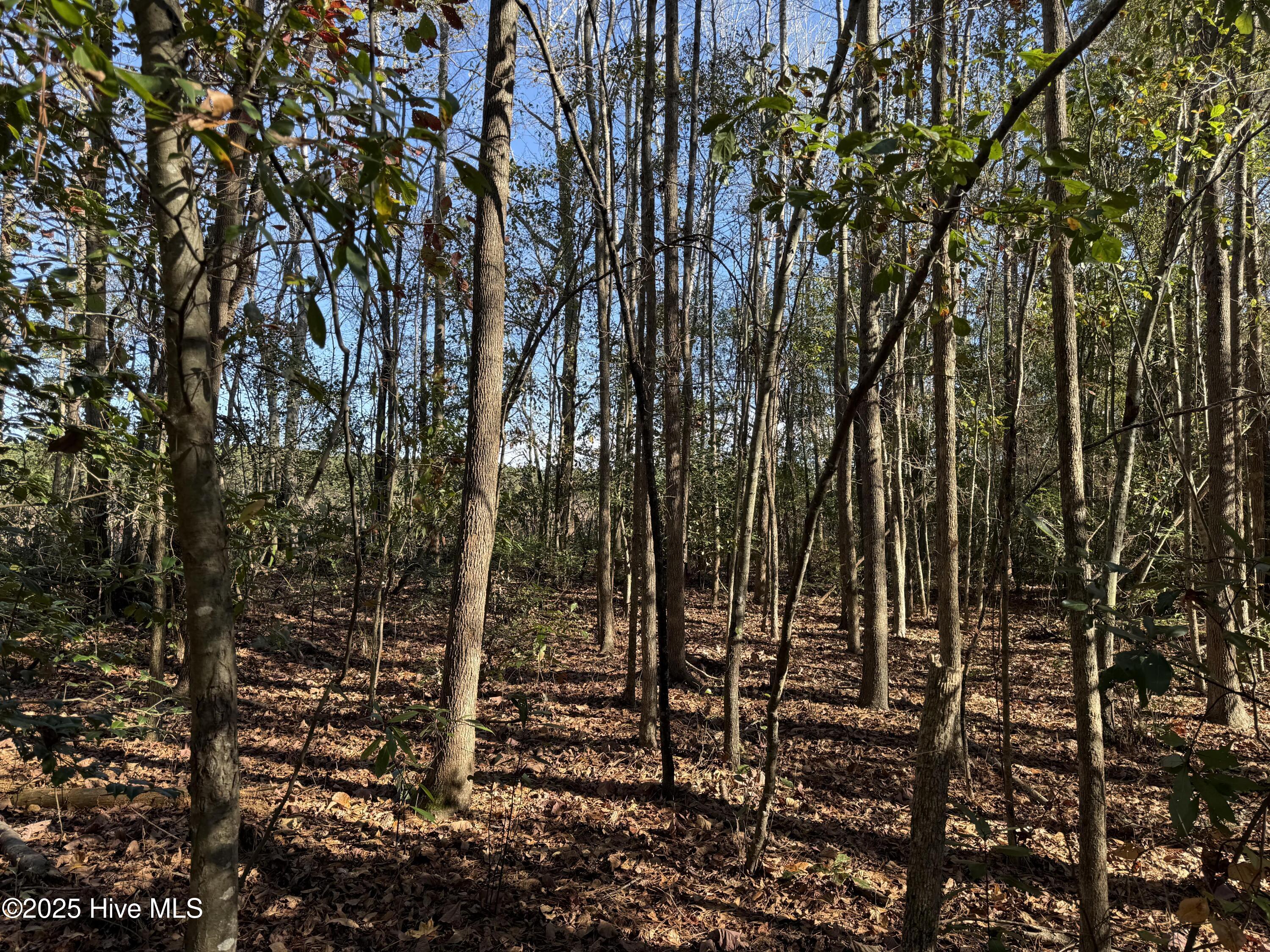 0 Macedonia Church Road Evergreen, NC 28438 - Photo 24 of 34 Image 24