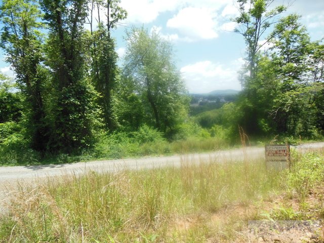 Lot #5 Mitchell Mountain Road Sparta, NC 28675 - Photo 2 of 2 Gallery Image 2