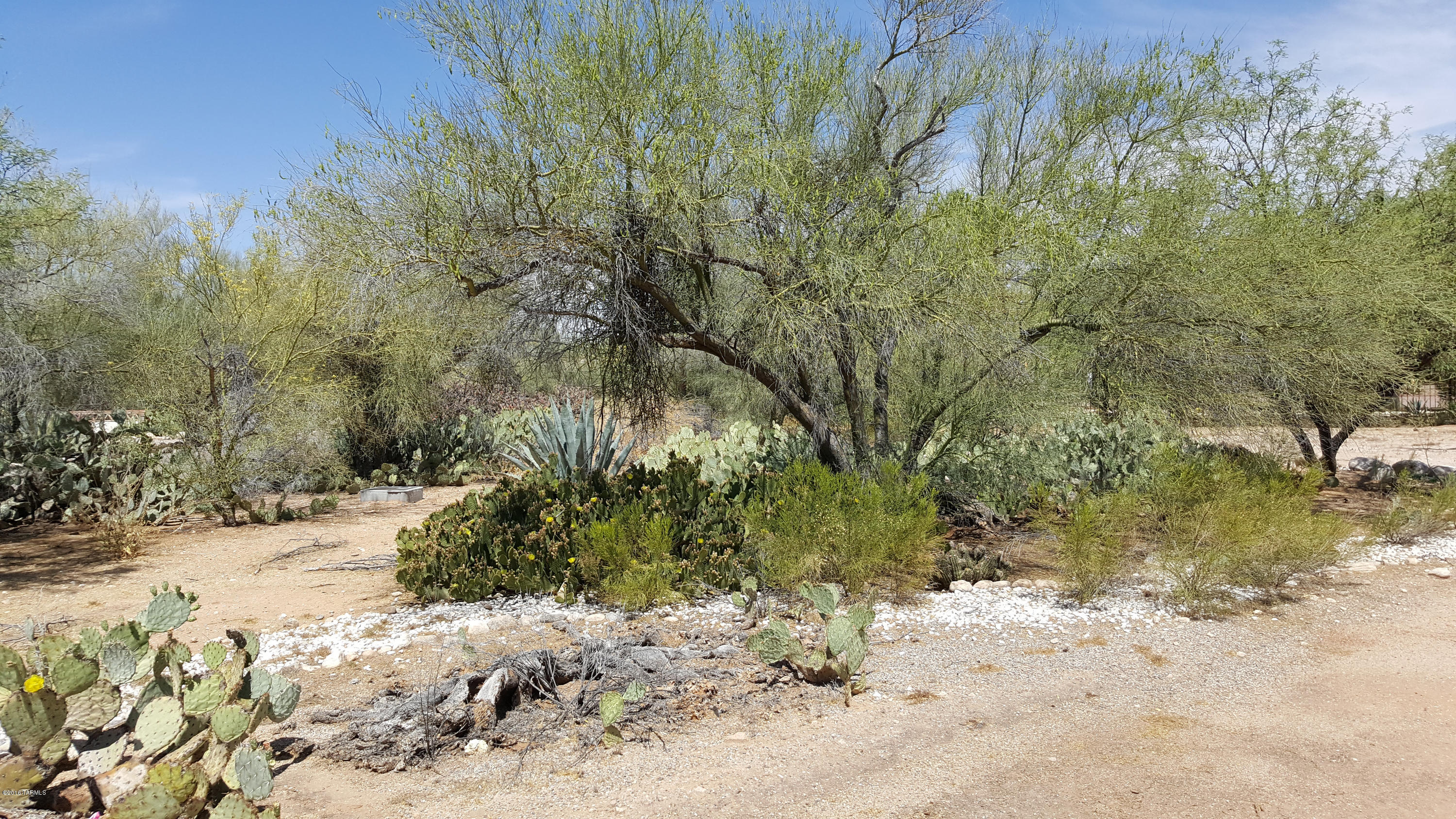 6655 North Oracle Road, Unit 11 Tucson, AZ 85704 - Photo 2 of 6 Gallery Image 2