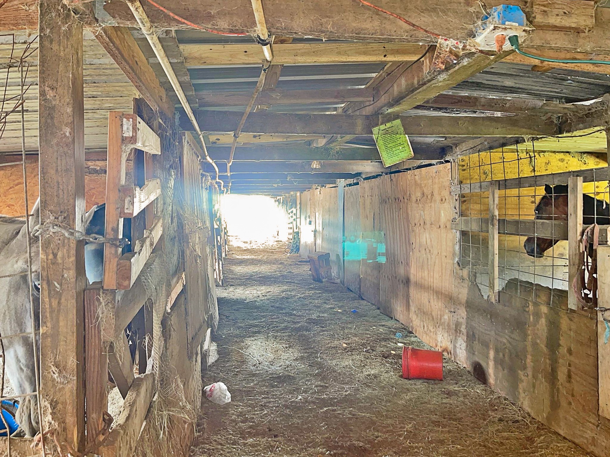 12623 Ann Louise Road Houston, TX 77086 - Photo 3 of 15