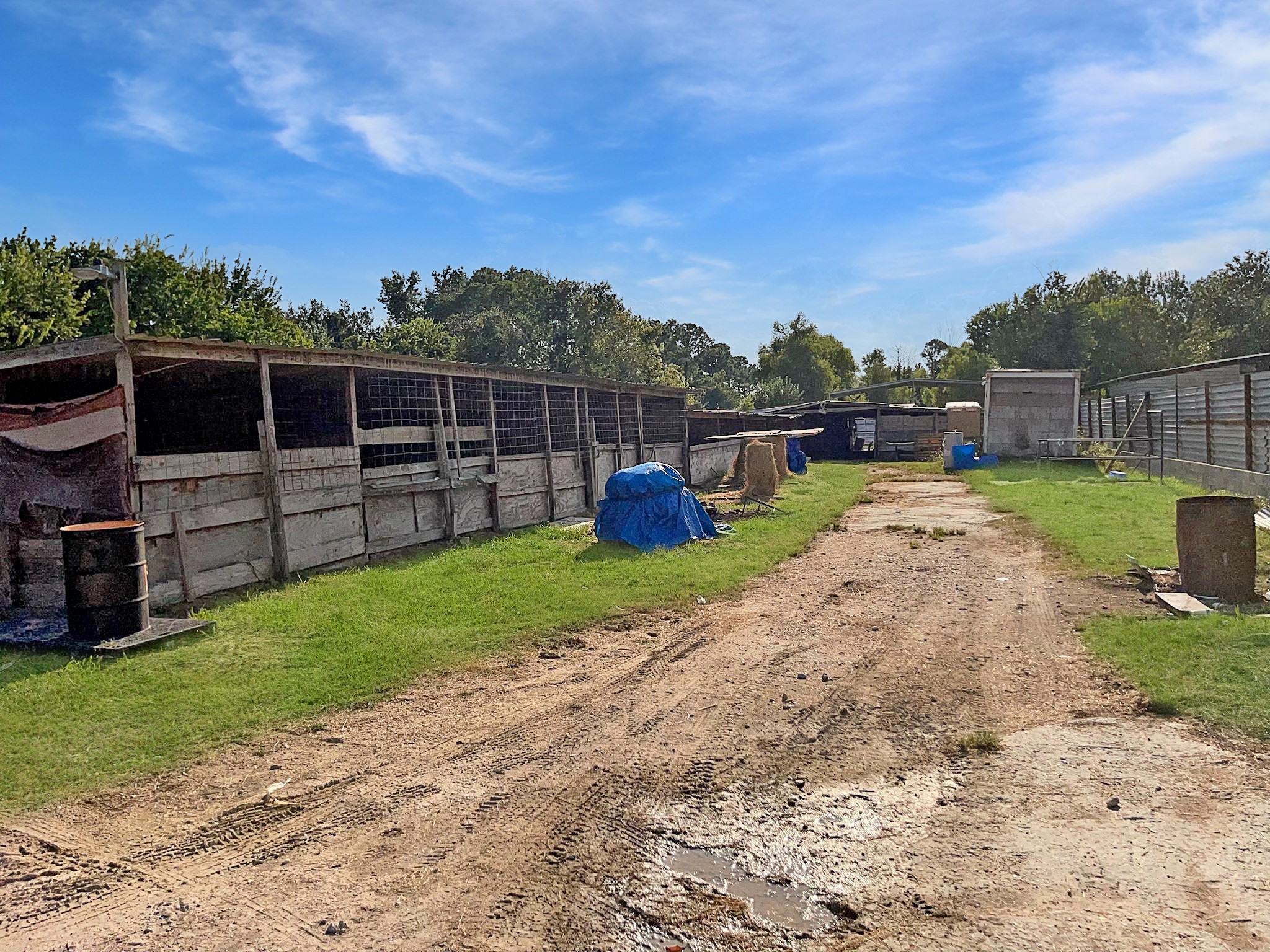 12623 Ann Louise Road Houston, TX 77086 - Photo 9 of 15