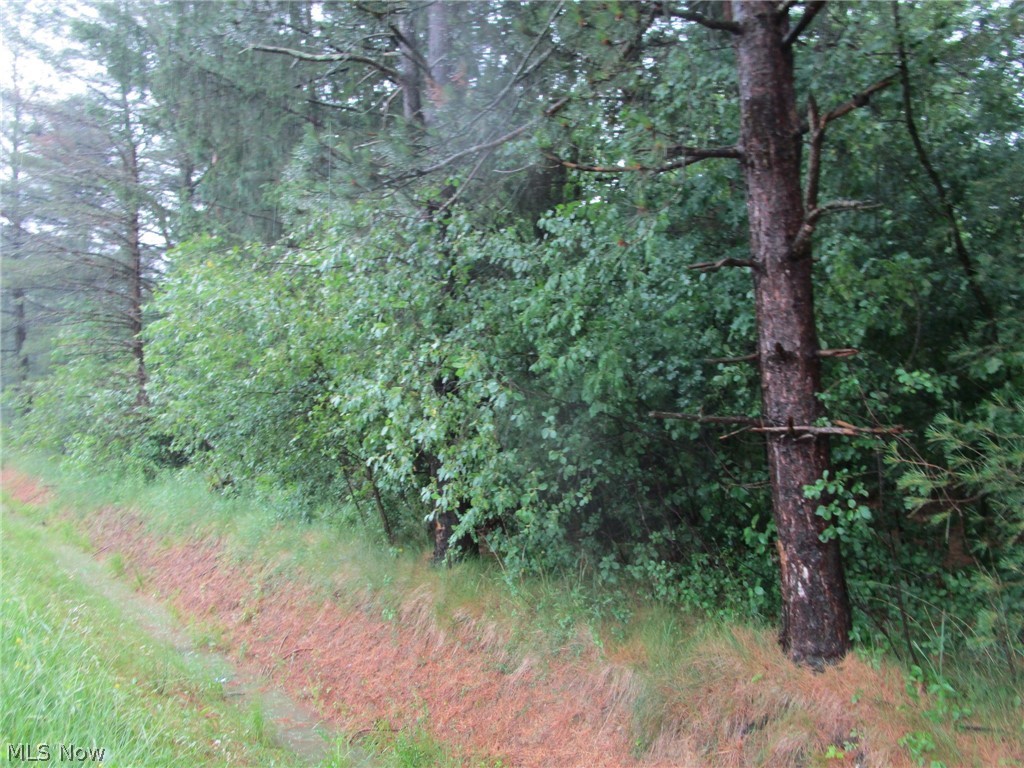 Vl Callender Road Rock Creek, OH 44084 - Photo 3 of 6