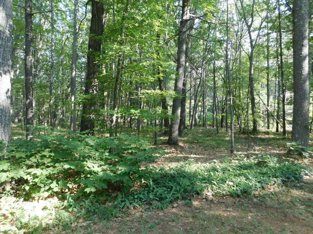 213 Maguire Road Kennebunk, ME 04043 - Photo 10 of 11 Photo