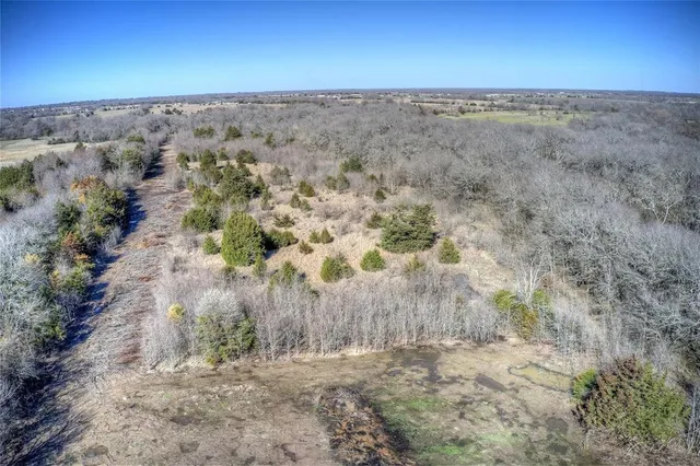 a view of dirt field with large trees