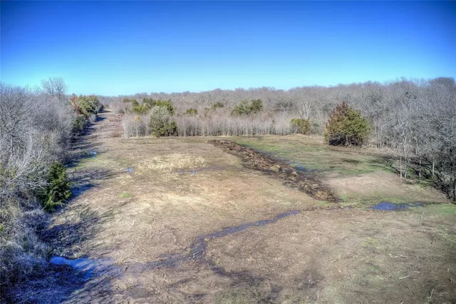 a view of a dry yard with trees