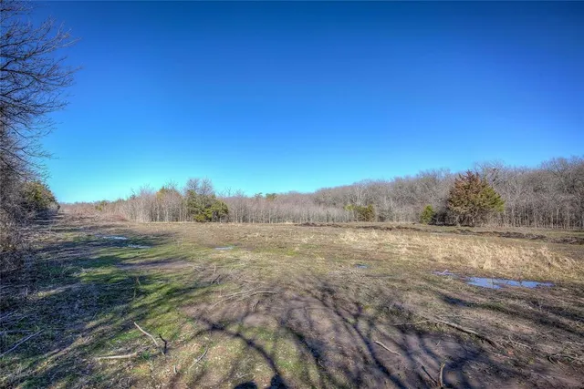 a view of dirt yard with a tree