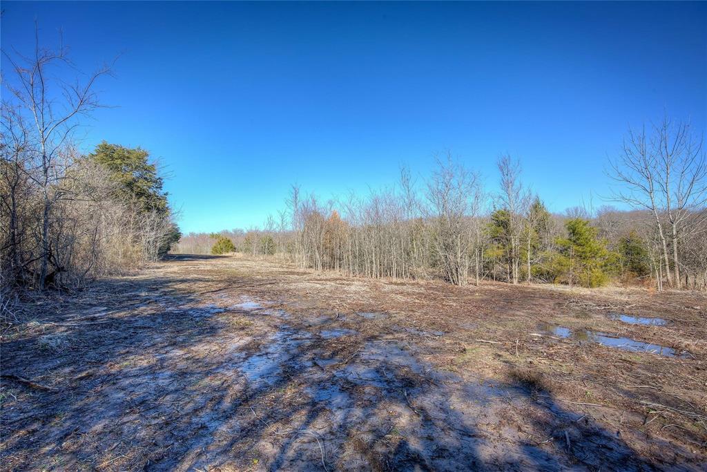 0 West Interstate 30 Campbell, TX 75422 - Photo 30 of 39 a view of dirt yard with a tree