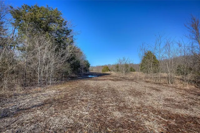 a view of dirt yard with large trees