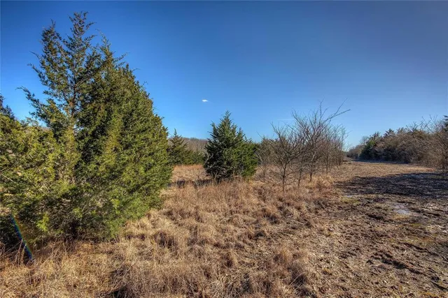 a view of mountain view with large tree