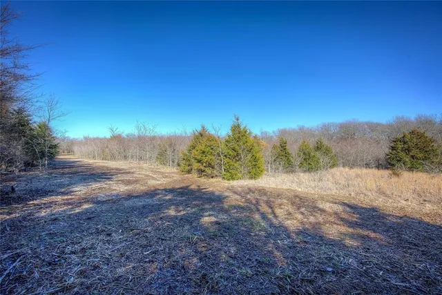 a view of backyard with green space