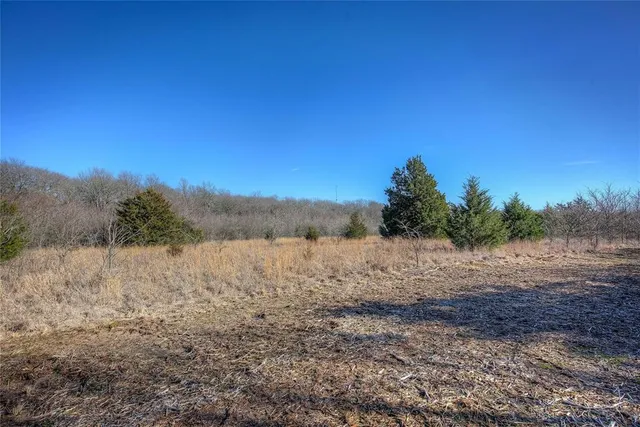 a view of a yard with an trees