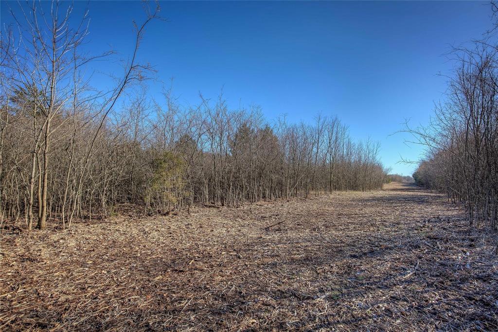 0 West Interstate 30 Campbell, TX 75422 - Photo 35 of 39 a view of backyard with green space