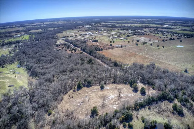 a view of lot of trees