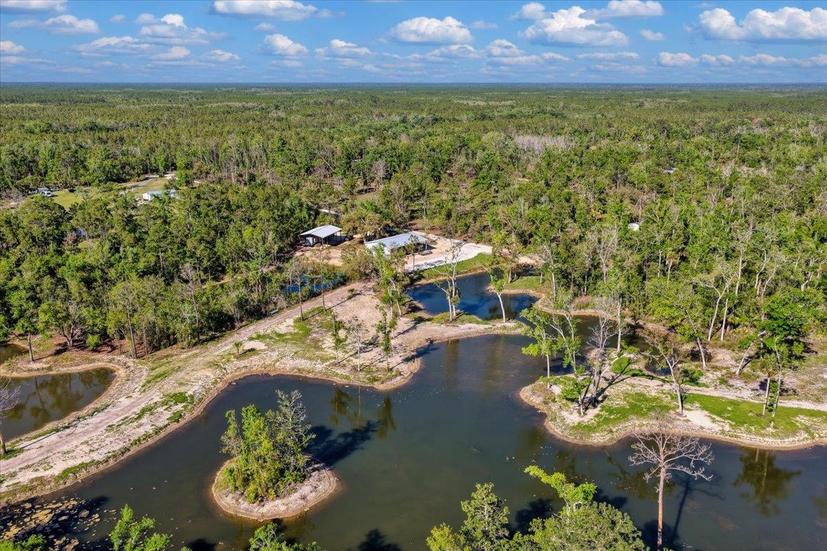 0 Northwest Roys Road Steinhatchee, FL 32359 - Photo 5 of 70