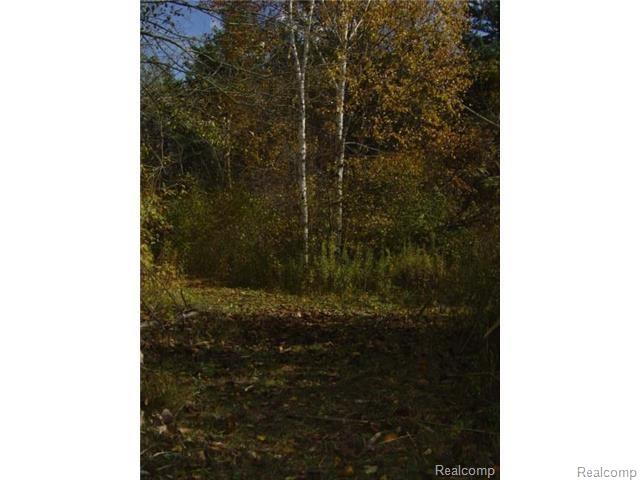 0 Clintonville Road Clarkston, MI 48346 - Photo 1 of 8