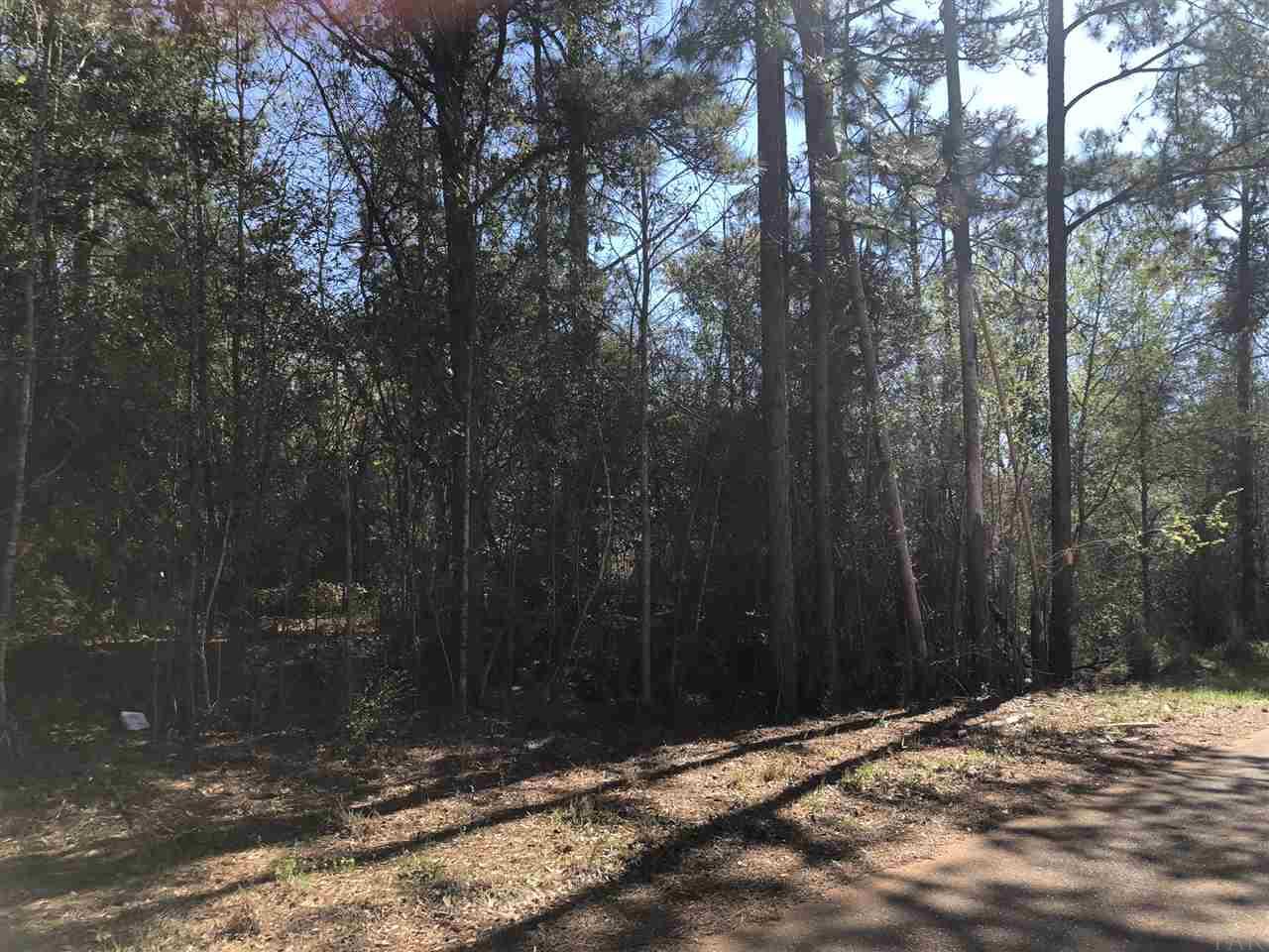 0 Whispering Pine Road Brewton, AL 36426 - Photo 11 of 27