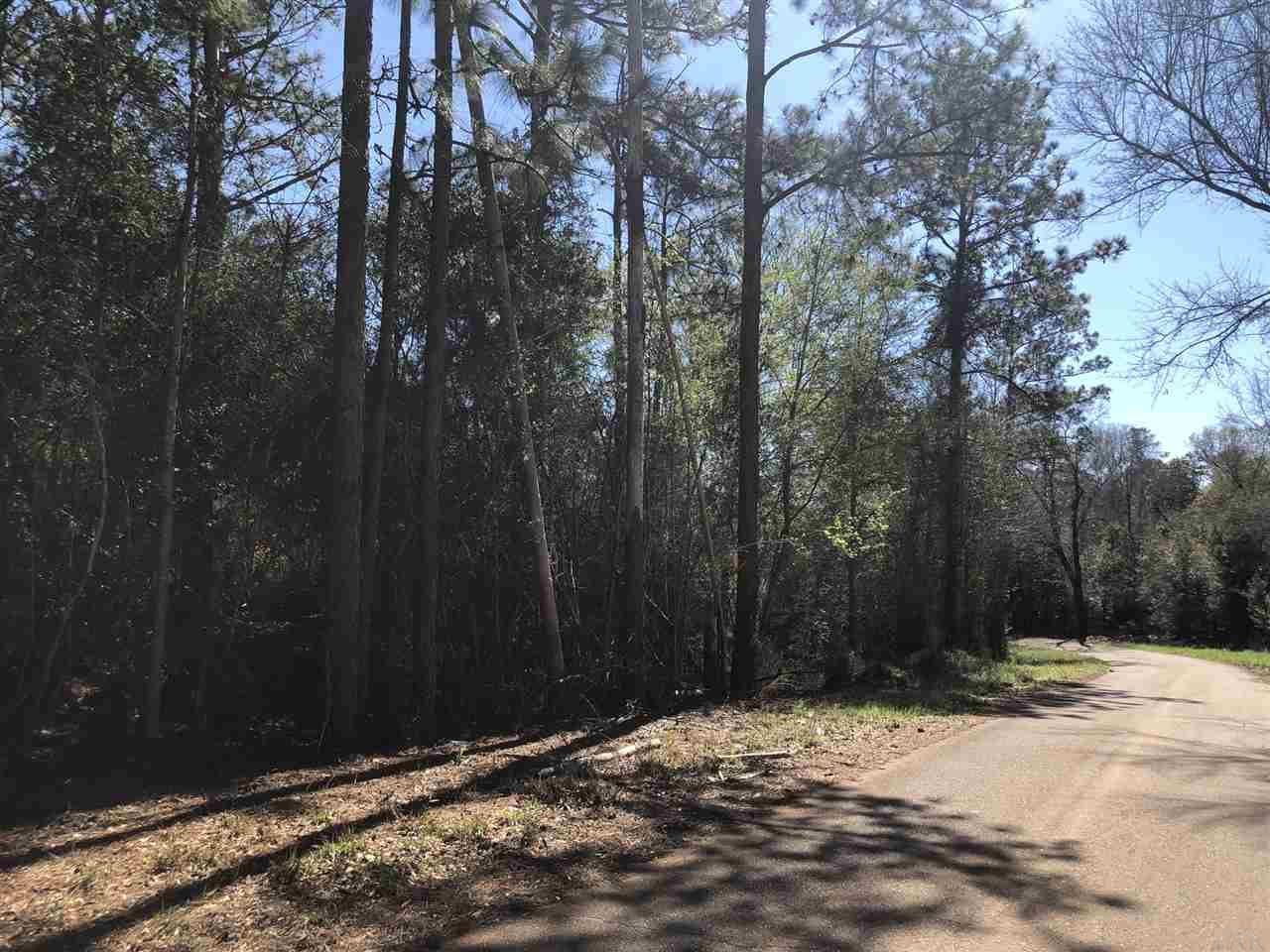 0 Whispering Pine Road Brewton, AL 36426 - Photo 12 of 27
