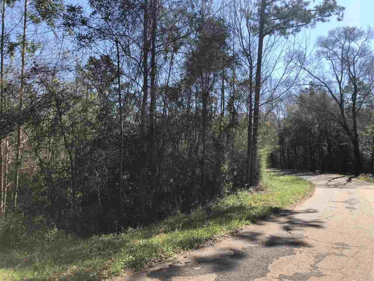 0 Whispering Pine Road Brewton, AL 36426 - Photo 13 of 27