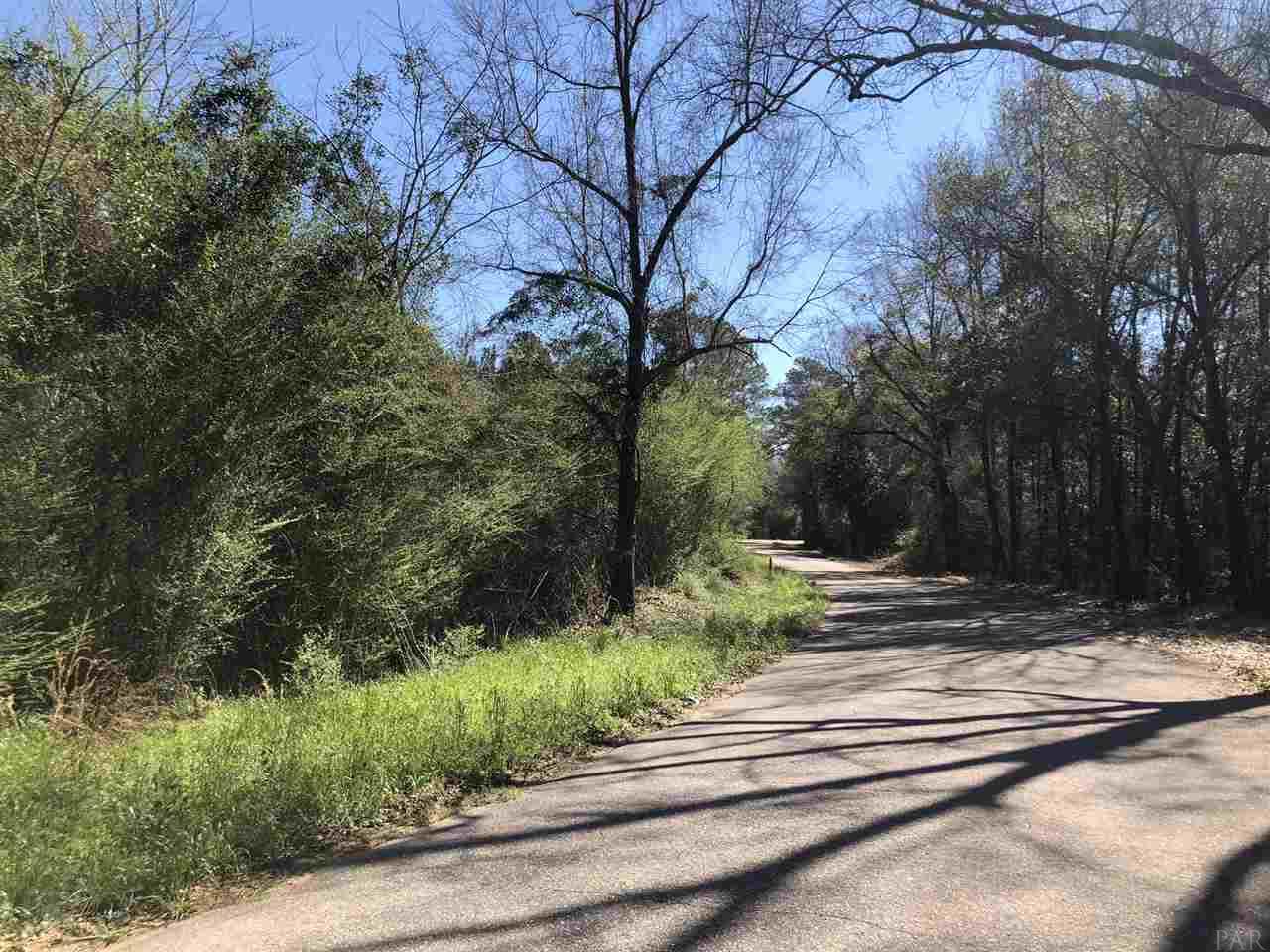 0 Whispering Pine Road Brewton, AL 36426 - Photo 14 of 27