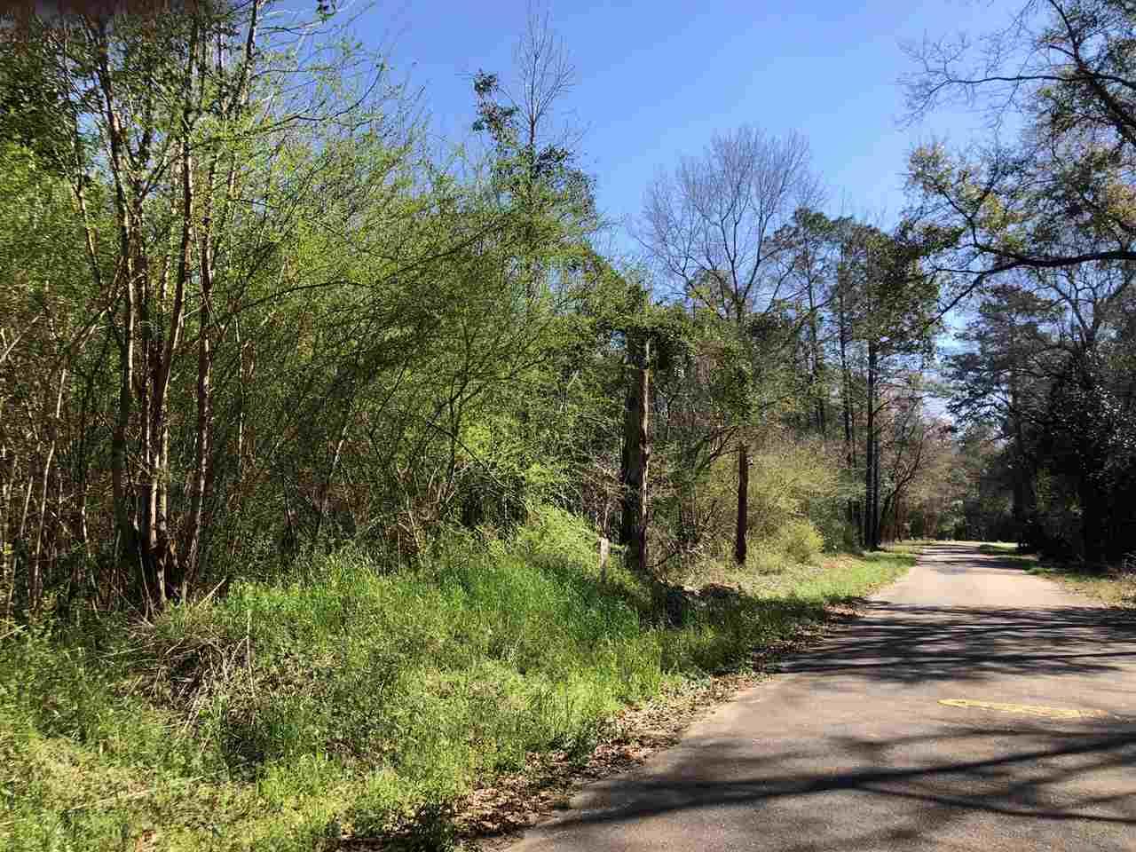 0 Whispering Pine Road Brewton, AL 36426 - Photo 15 of 27