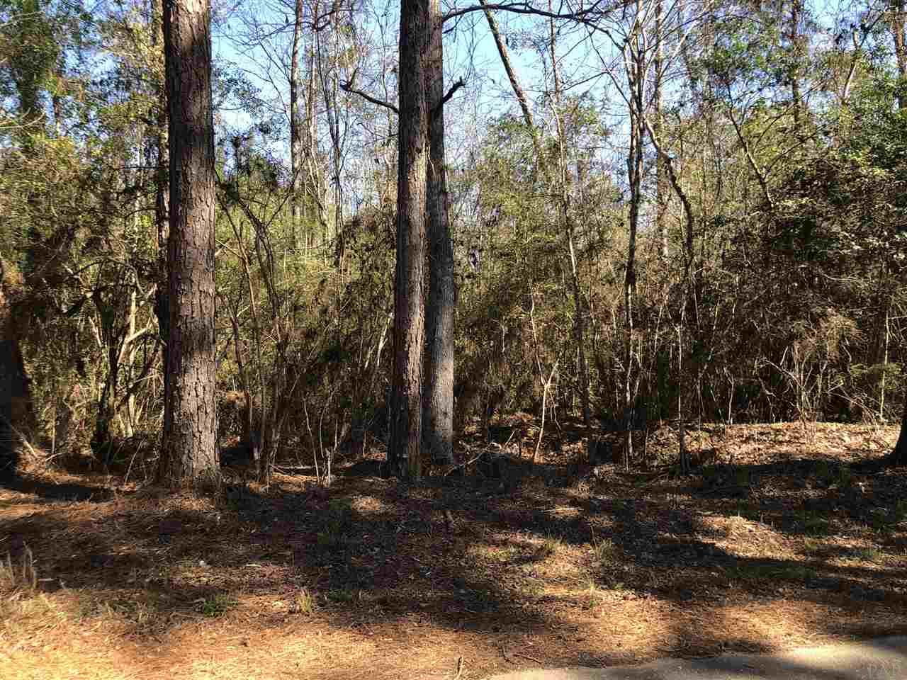0 Whispering Pine Road Brewton, AL 36426 - Photo 16 of 27