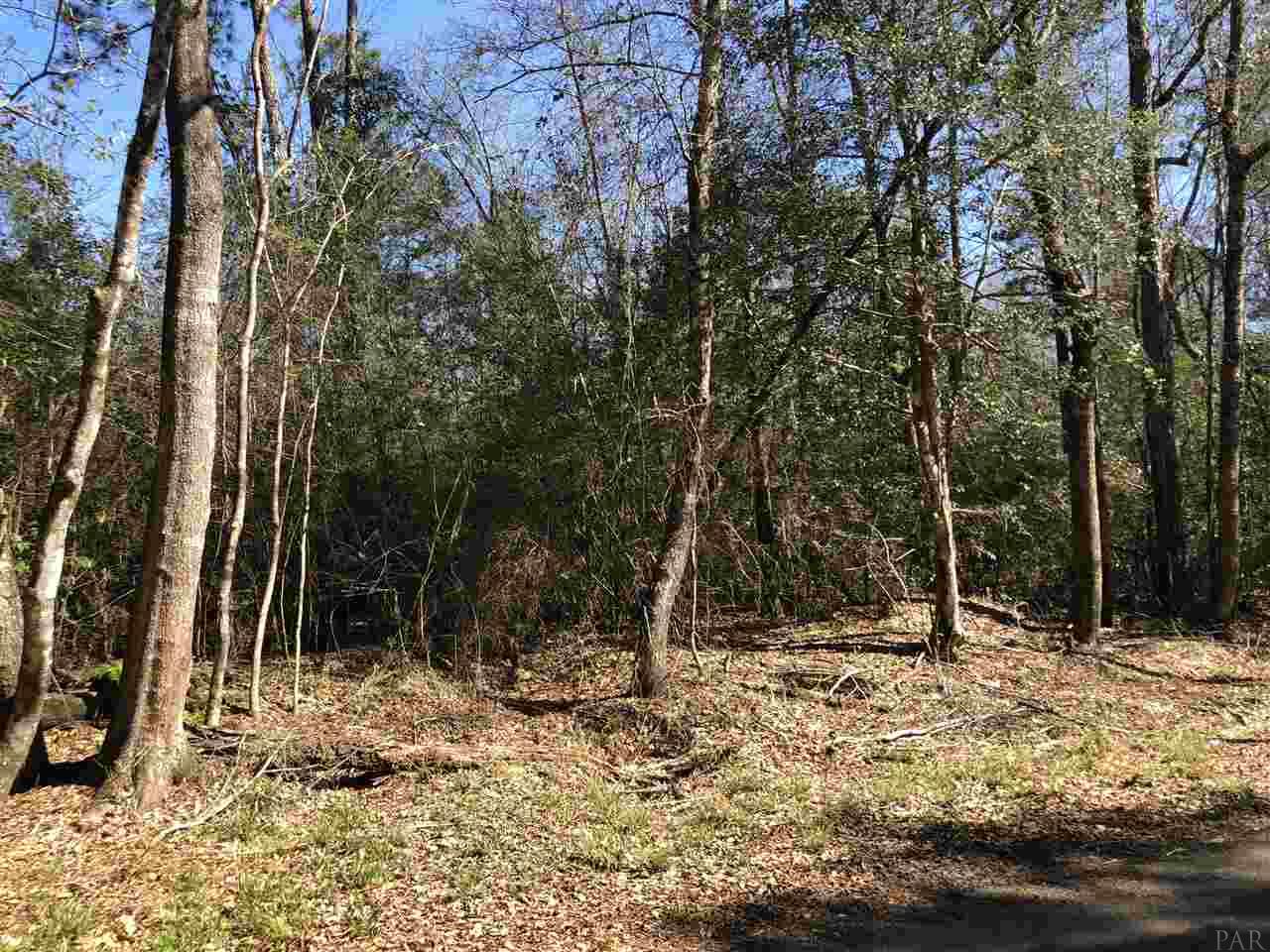 0 Whispering Pine Road Brewton, AL 36426 - Photo 18 of 27