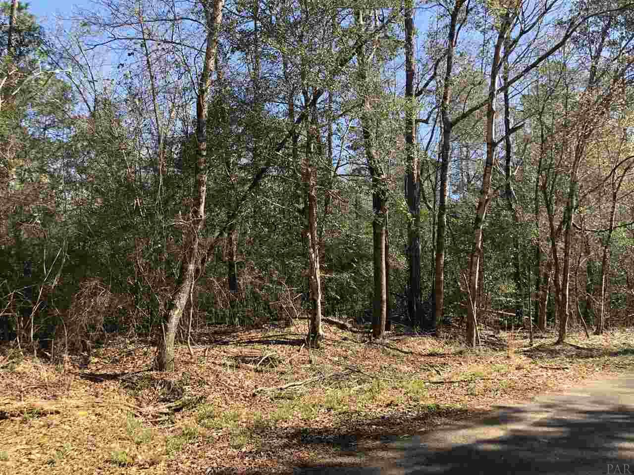 0 Whispering Pine Road Brewton, AL 36426 - Photo 19 of 27