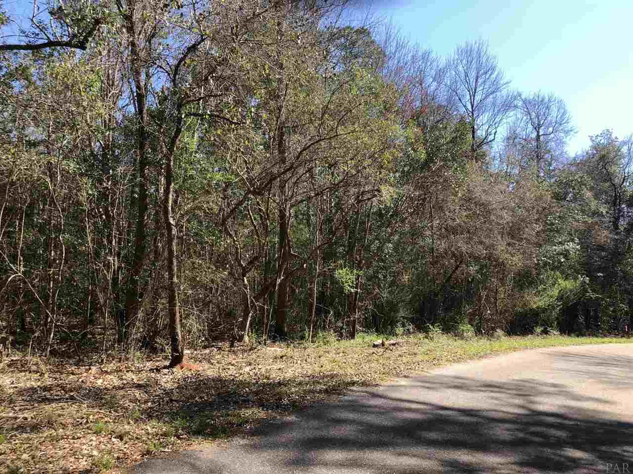 0 Whispering Pine Road Brewton, AL 36426 - Photo 20 of 27