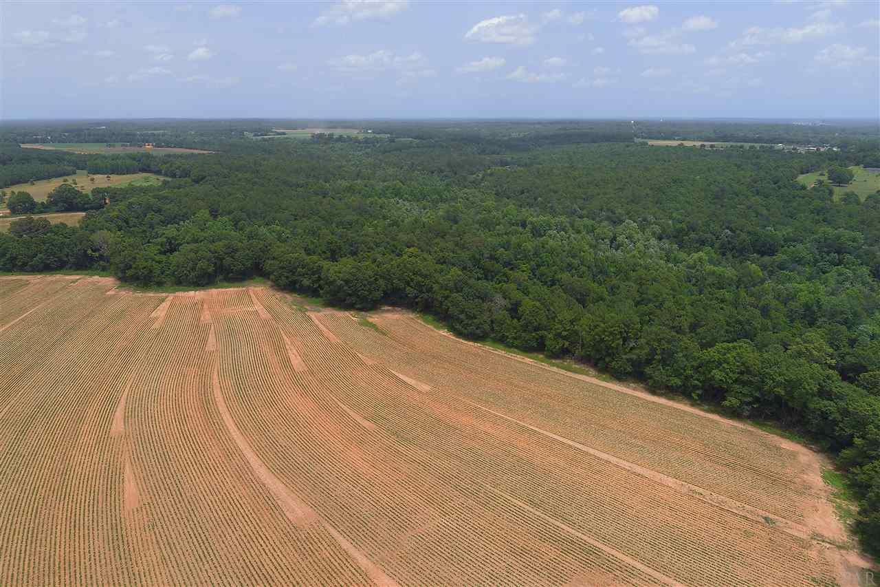 0 Whispering Pine Road Brewton, AL 36426 - Photo 2 of 27