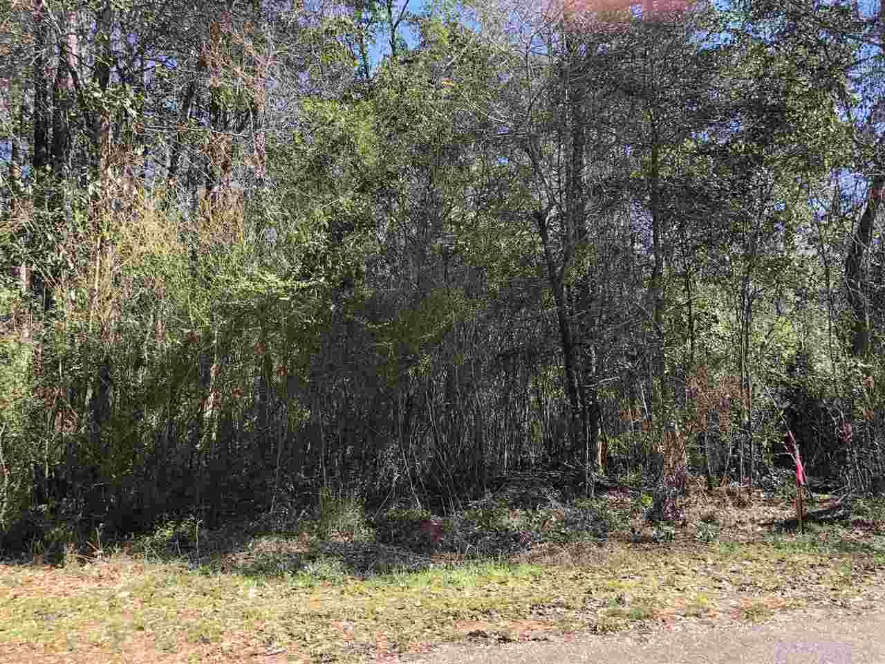 0 Whispering Pine Road Brewton, AL 36426 - Photo 21 of 27