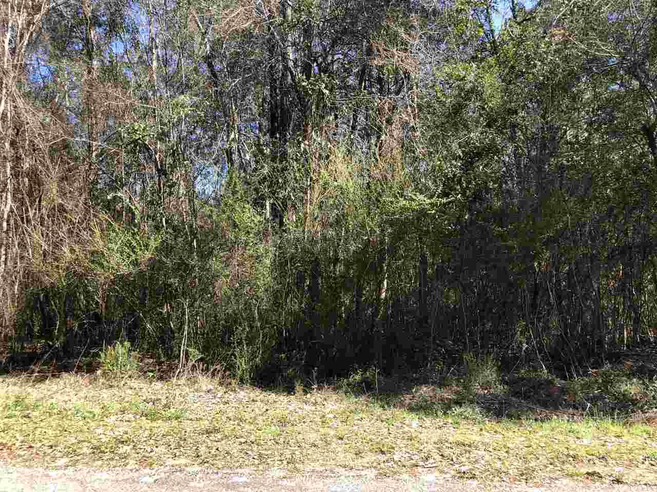 0 Whispering Pine Road Brewton, AL 36426 - Photo 22 of 27